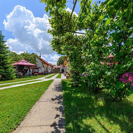 Pensiunea Roma Antica Hărman Esterno foto