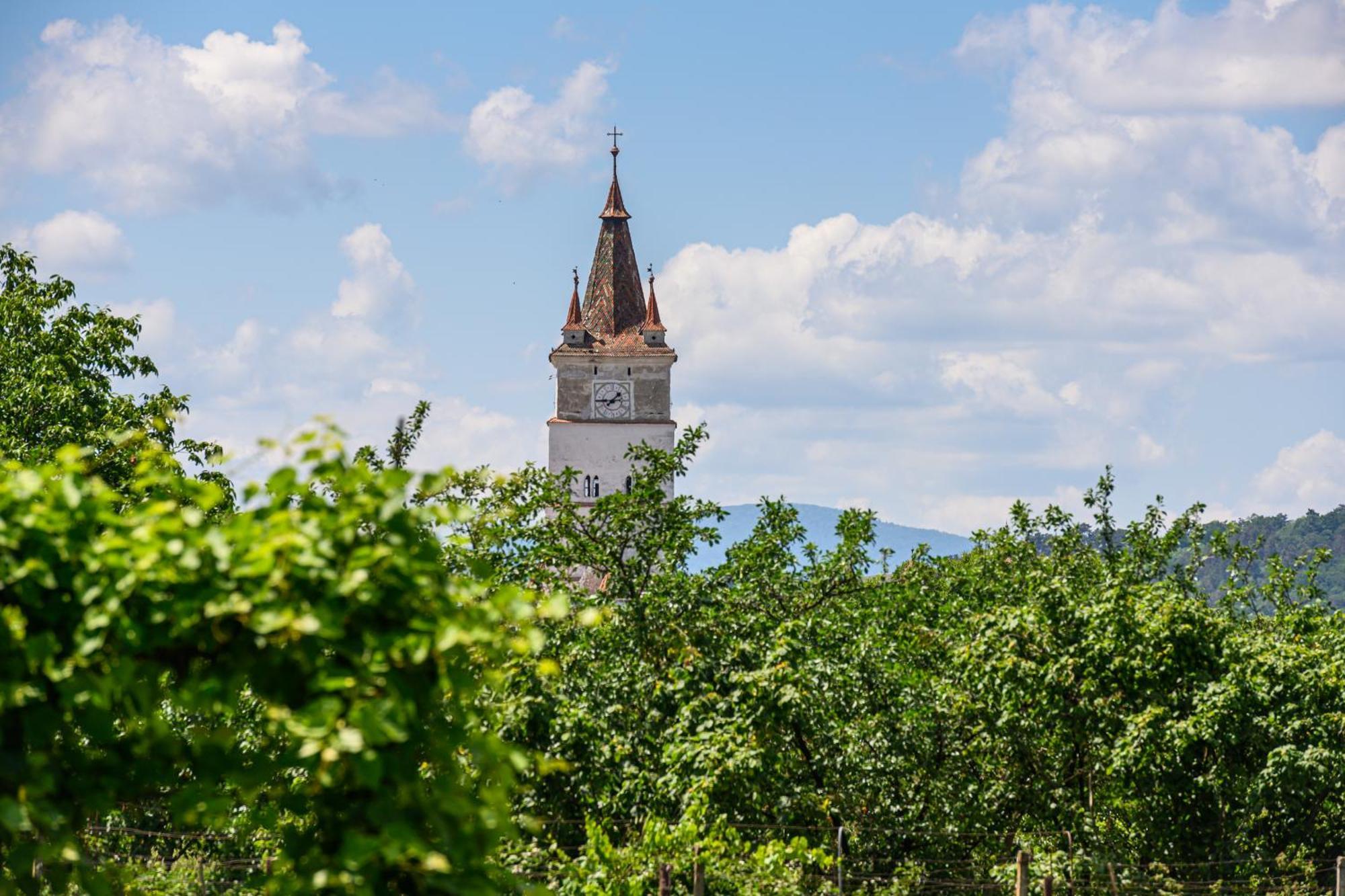Pensiunea Roma Antica Hărman Esterno foto